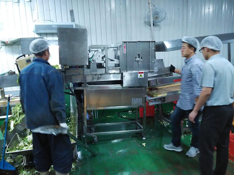 白菜切塊機